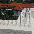 Wholesale wall decorative stainless steel anti bird spikes plastic stainless steel